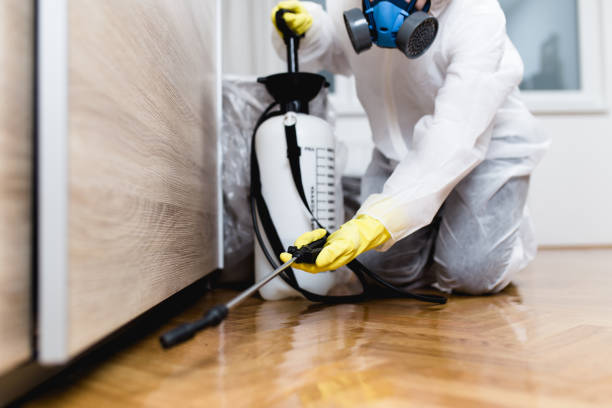 Pest Control for Restaurants in Aurora, OH