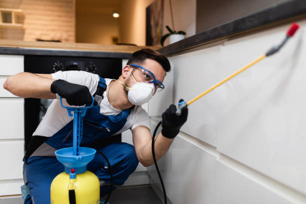 Reliable Aurora, OH Pest Control Solutions