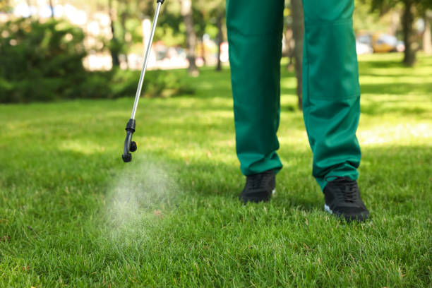 Best Pest Removal Services  in Aurora, OH