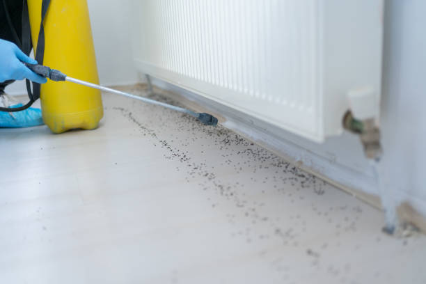 Best Residential Pest Control  in Aurora, OH
